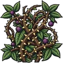 Bramblethorn Thicket
