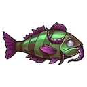 Odd Cod